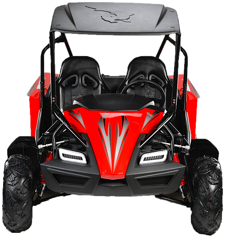 Buggy hammerhead sales