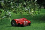 Ambrogio L250i Elite S+ Lawnmower