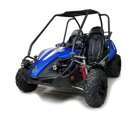 Storm Buggies Hammerhead™ GTS150 Buggy with USA Specs - Blue