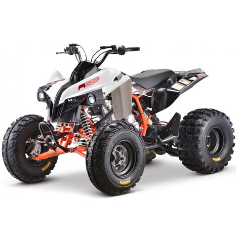 Storm buggies Kayo A300 ATV