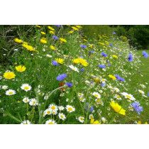 100% Native Wild Flower Seed Mix 1kg